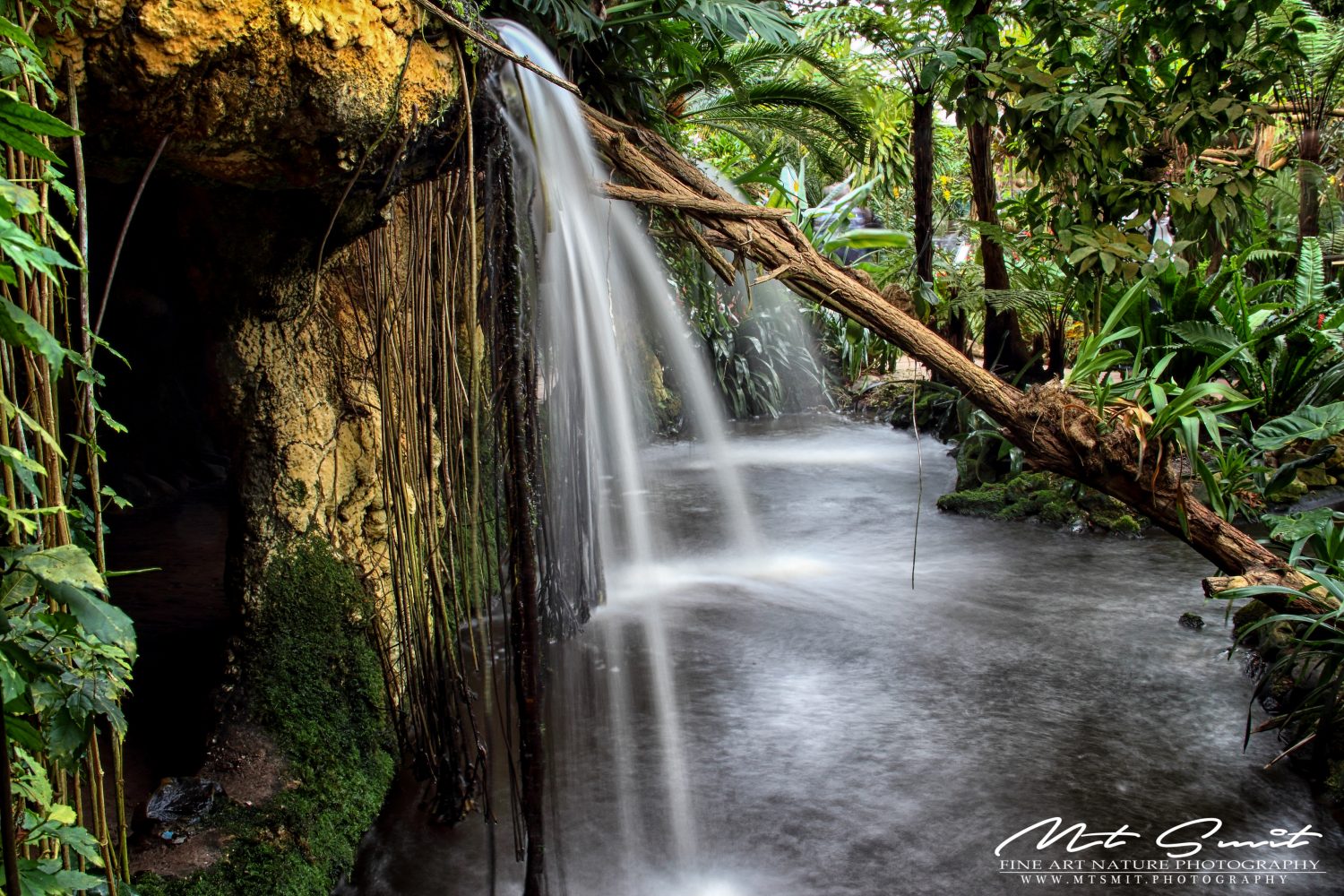 EDEN'S GARDEN