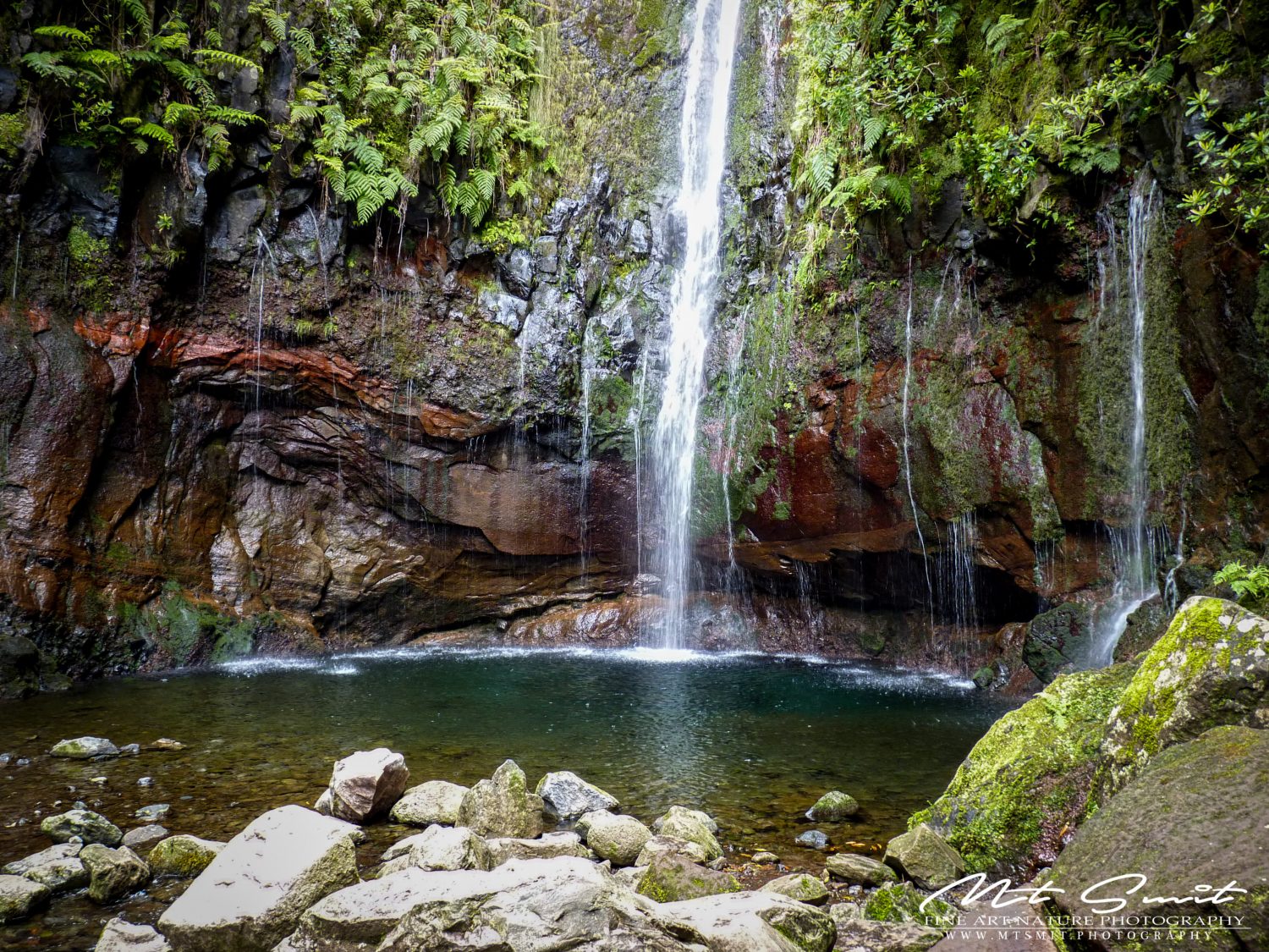 FOUNTAIN OF LIFE