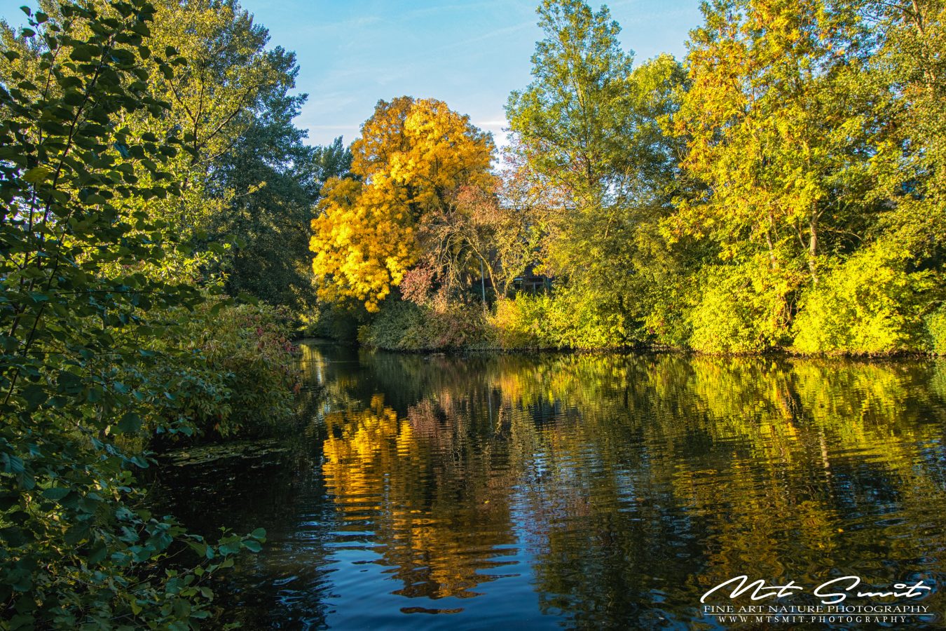 AUTUMN REFLECTIONS