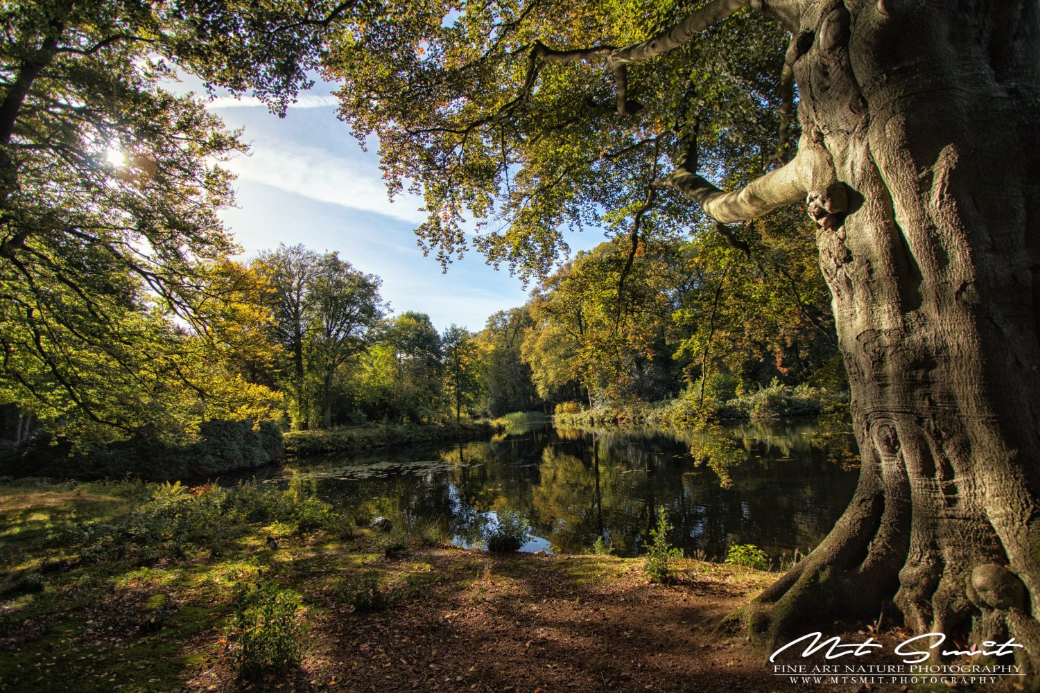 AUTUMN AT THE BRAAK