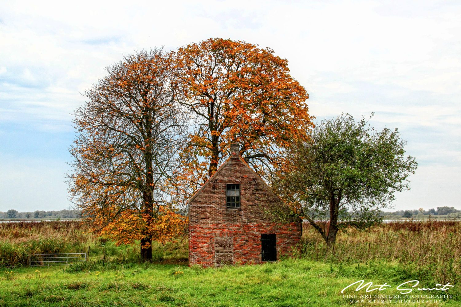 OLD HOUSE IN THE BIESBOSCH
