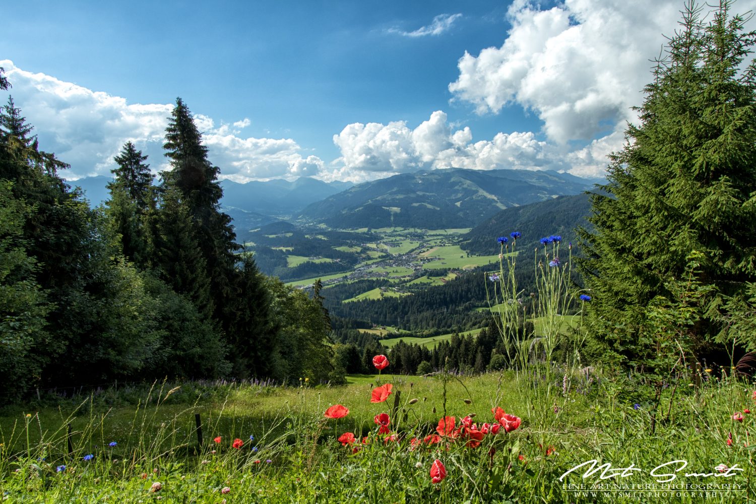 MOUNTAIN VIEW FROM ASTBERG