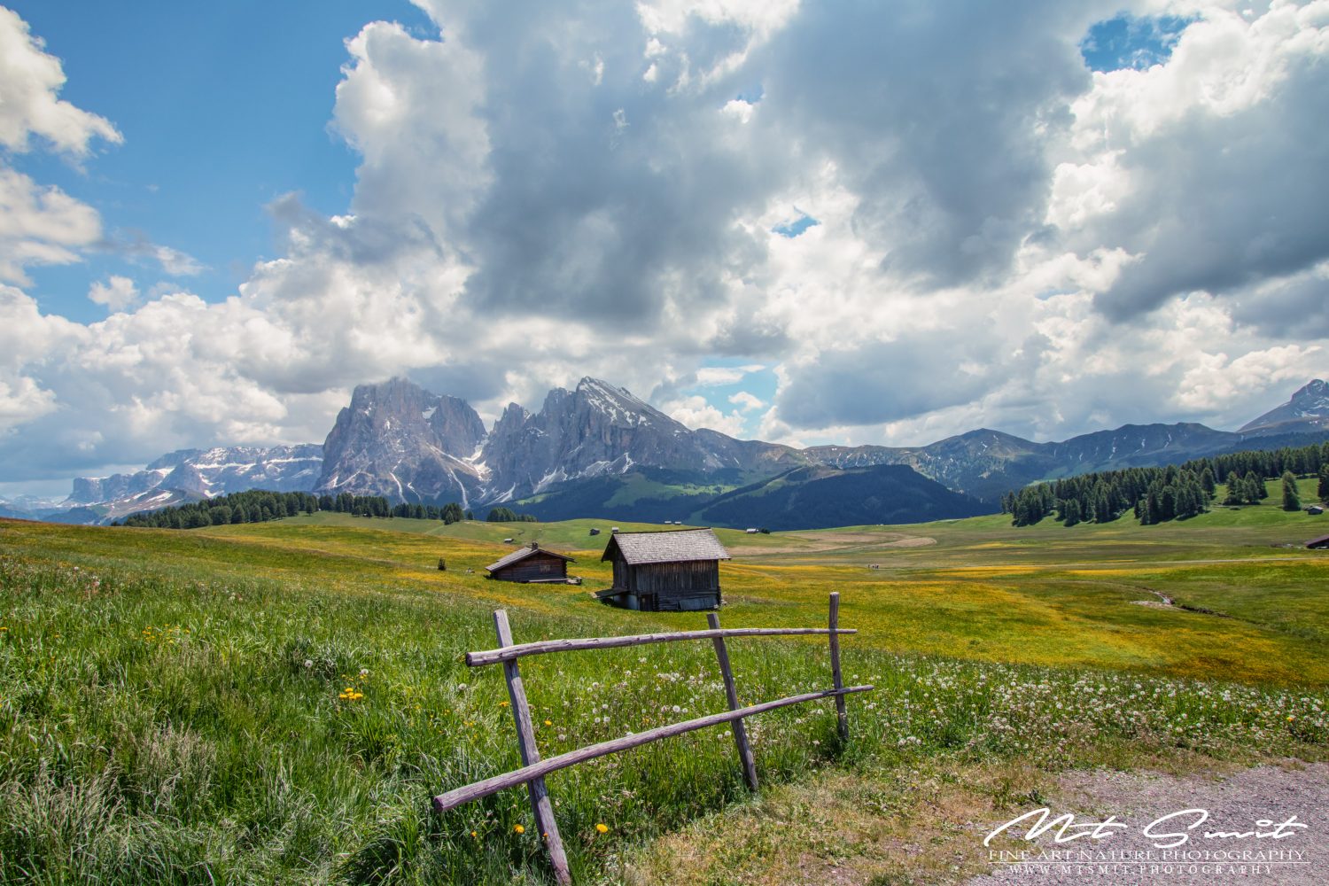 LITTLE FENCE