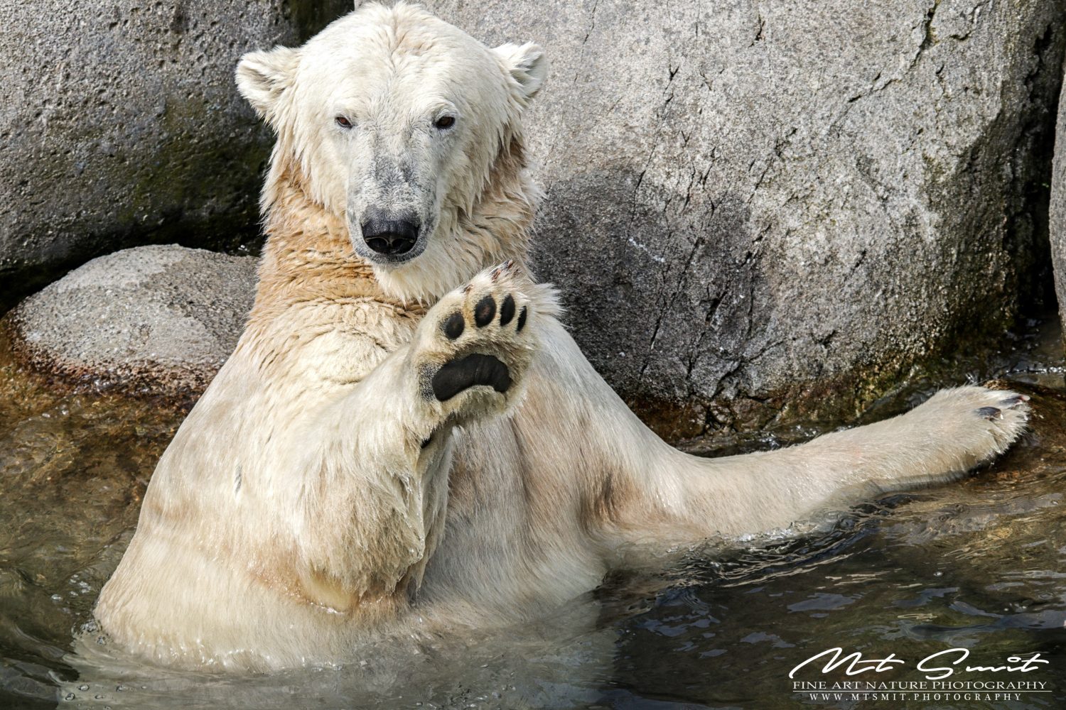 HIGH FIVE