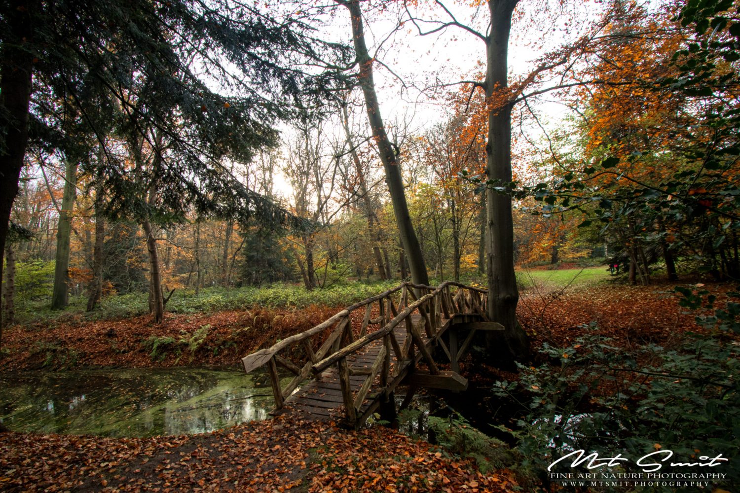 LITTLE WOODEN BRIDGE