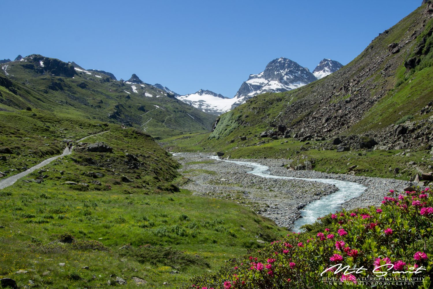 THE BEAUTY OF MONTAFON