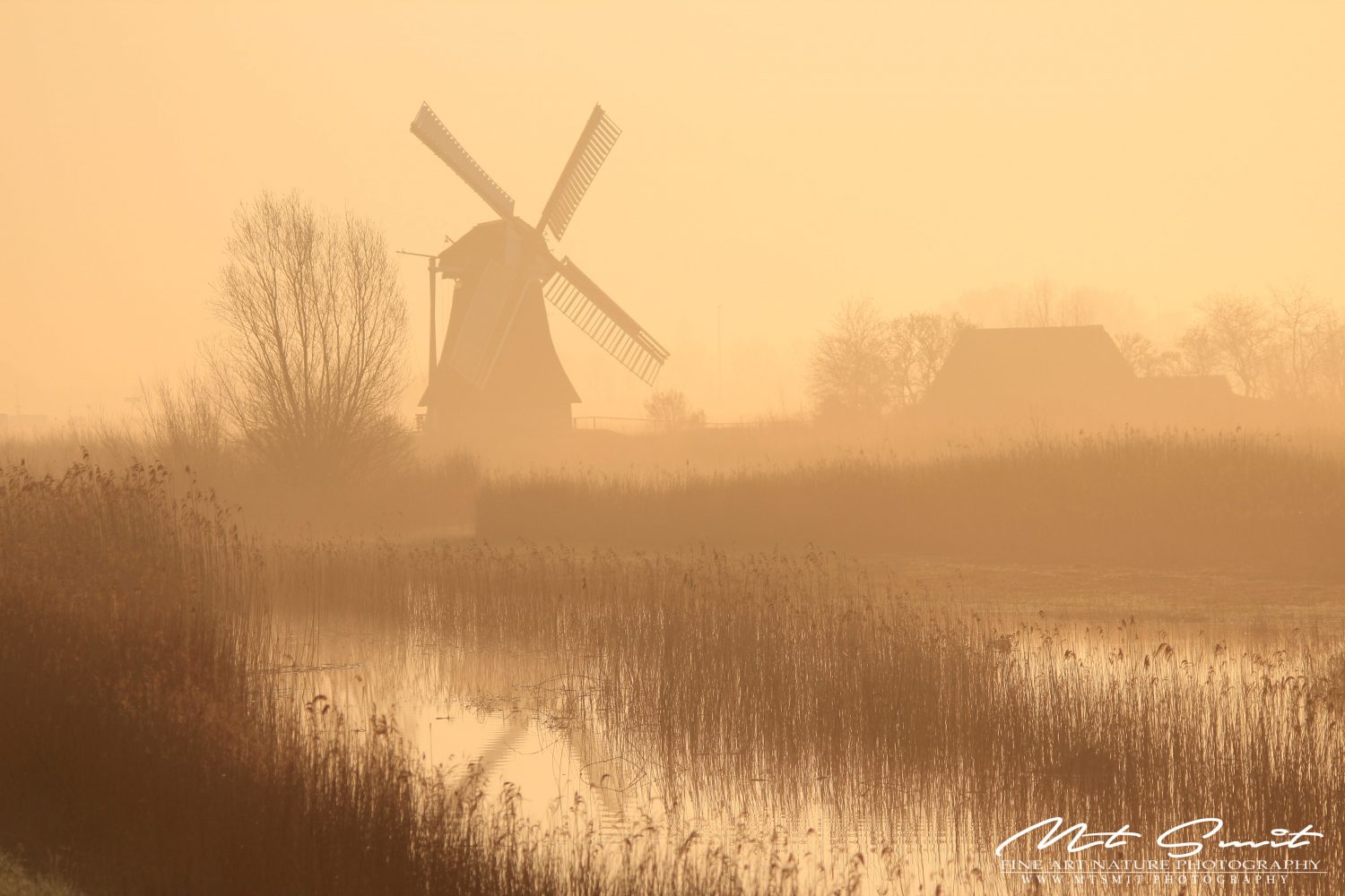 DAWN AT NOORDERMOLEN