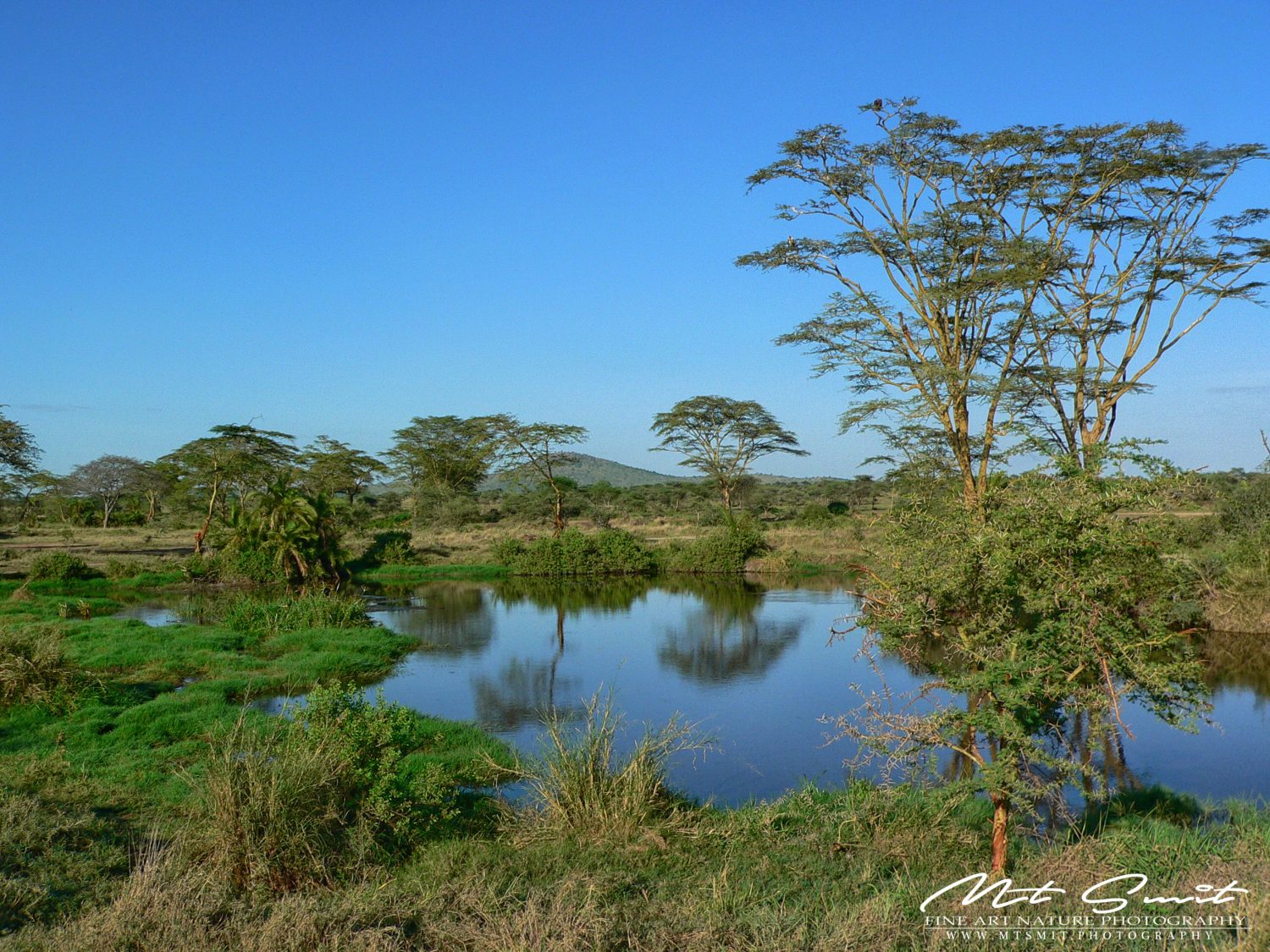 OASIS OF LIFE