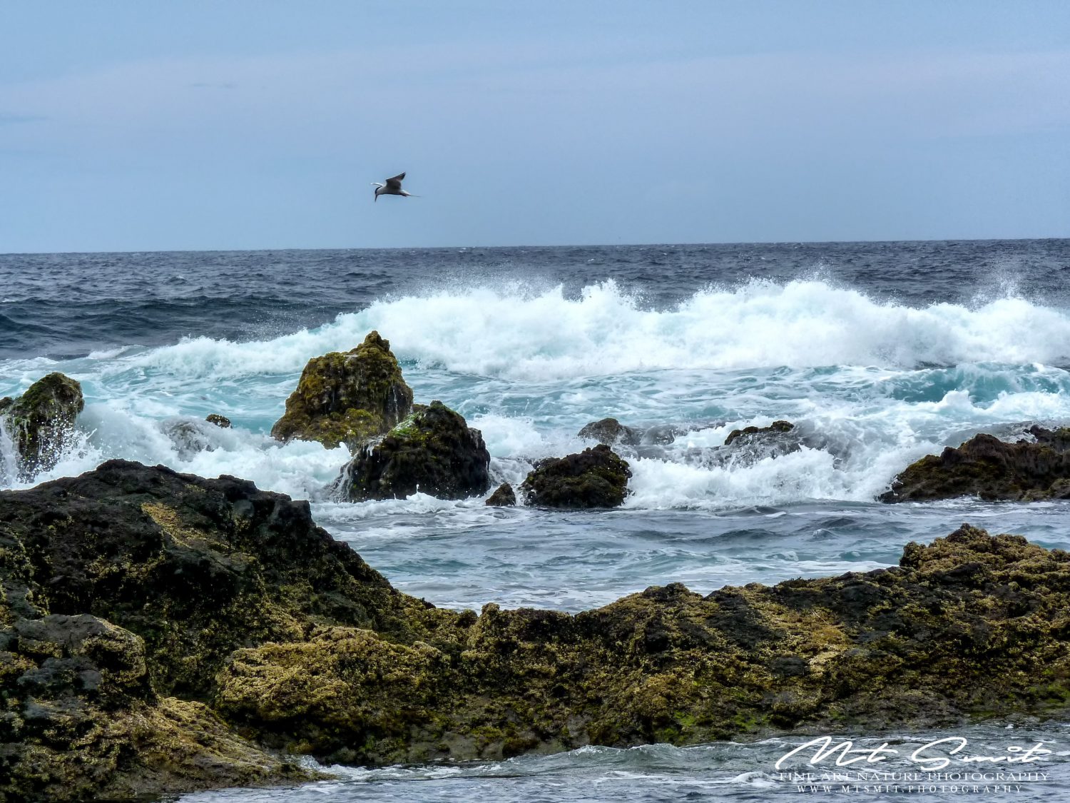 STORMY WATERS