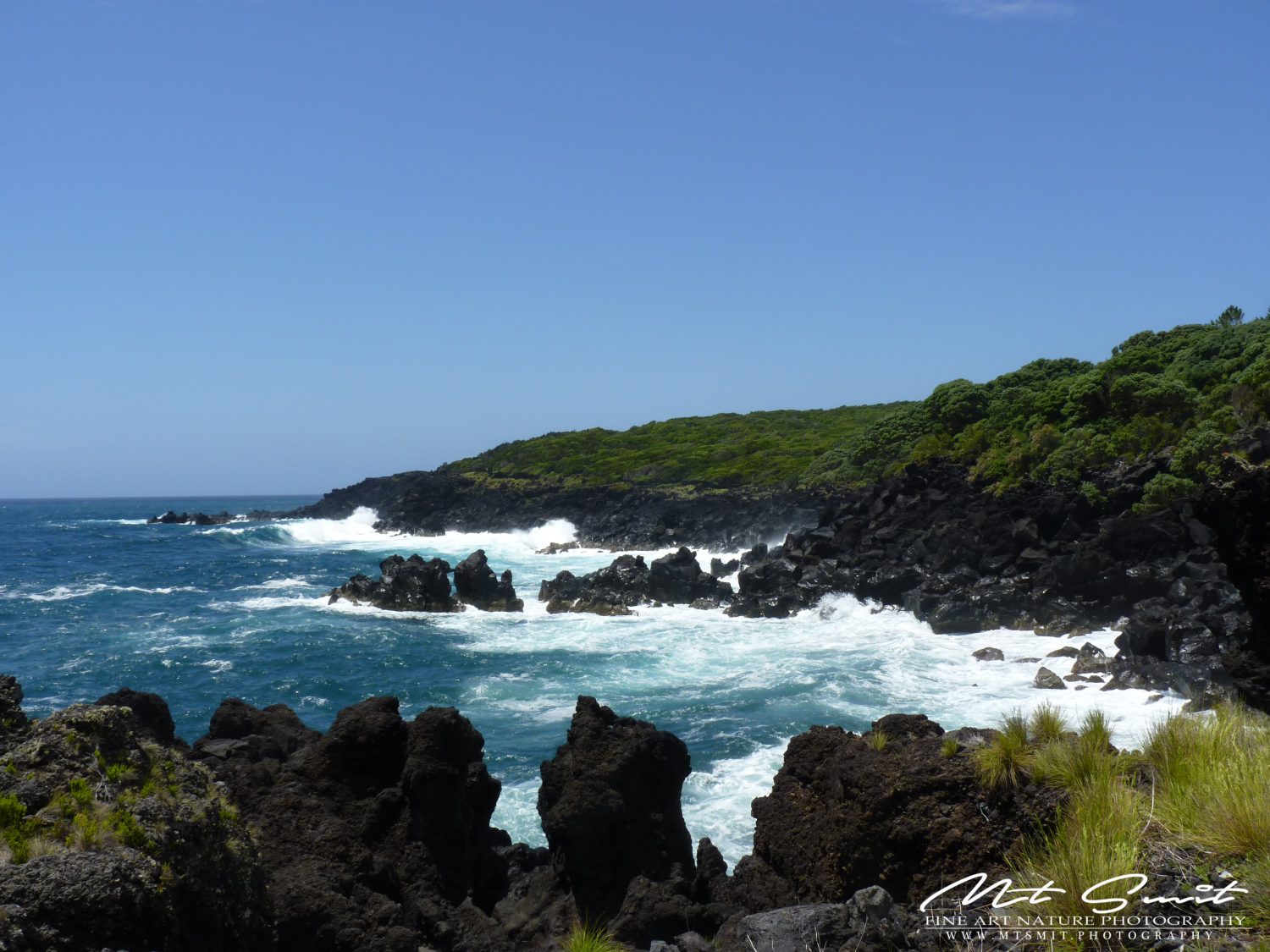 RESTLESS COVE