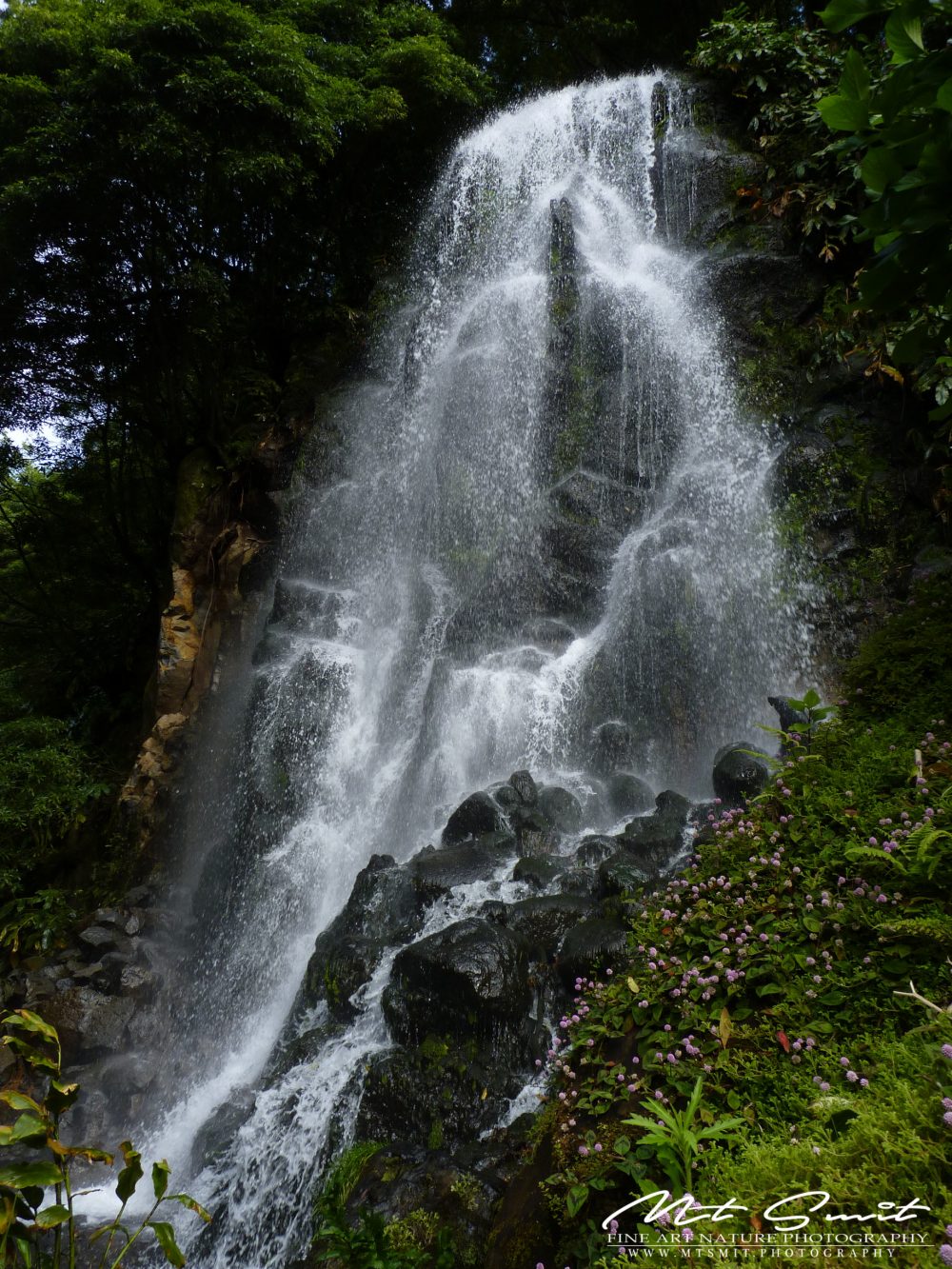 REFRESHING NATURE